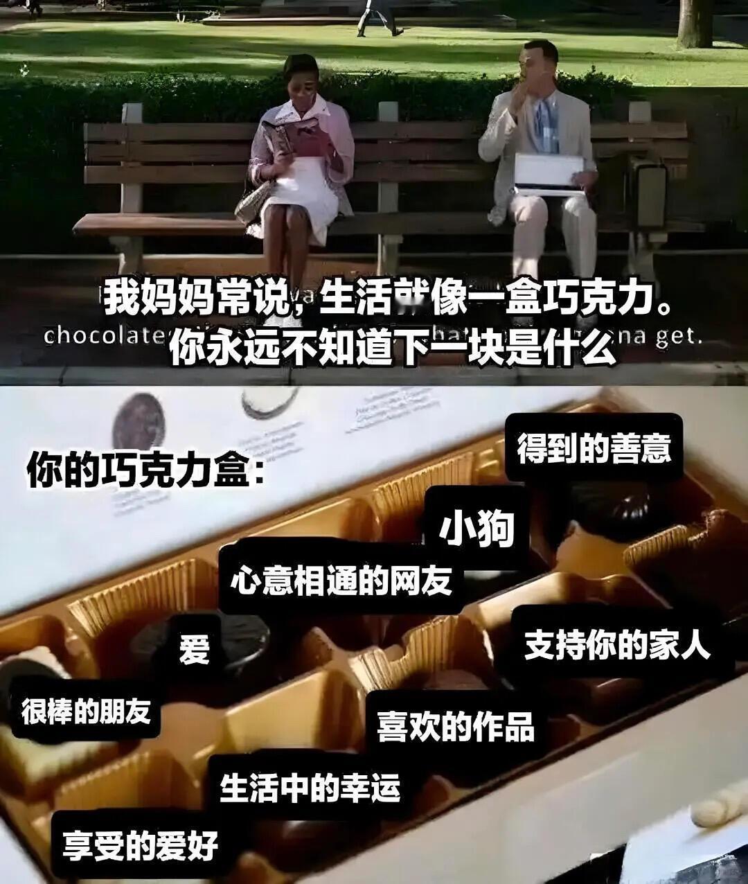 尸体暖暖的memes