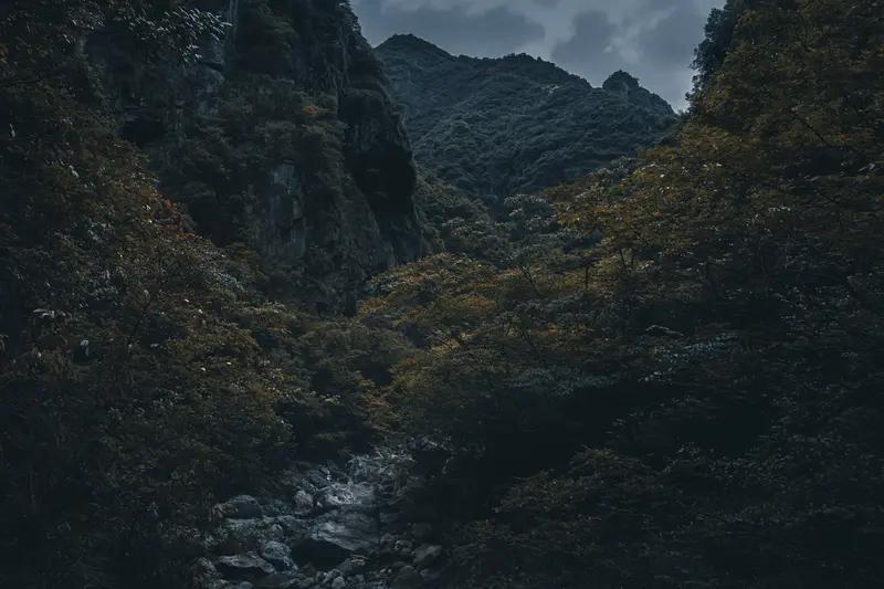 无人深山里失联13天，11岁男孩被找到：真正的奇迹，藏在普通人的坚持里有些消