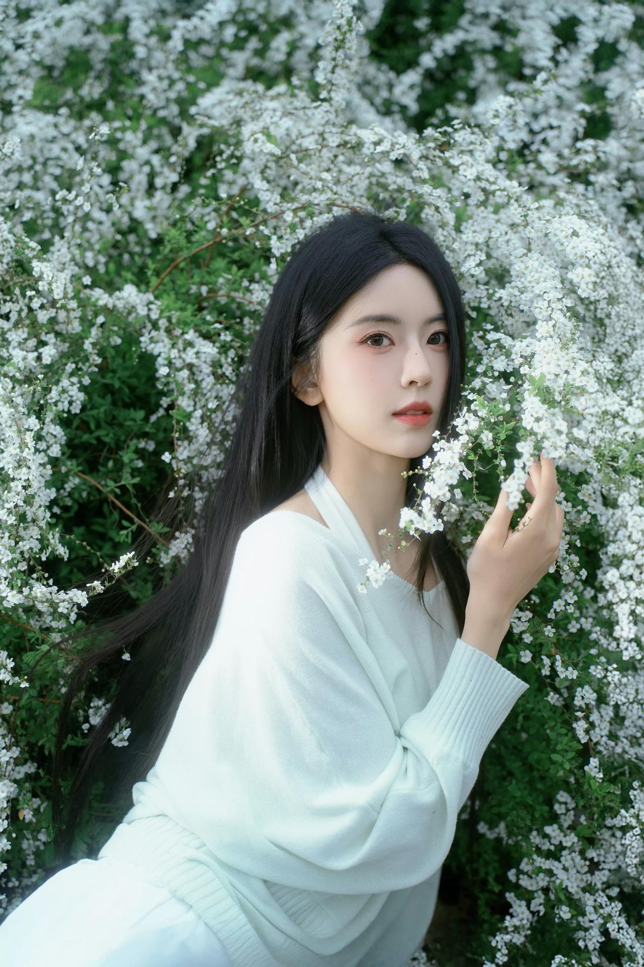 一身清浅，与满簇纯白相拥，把春天独有的温柔与浪漫，都定格成了镜头里的模样。