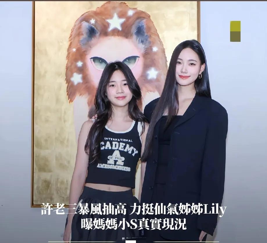 小s的女儿个个都很靓，许老三都这么漂亮了很范儿#夏日生活打卡季#两个孩子都挺漂亮
