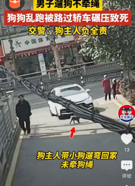 湖北宜昌，有个狗主人遛狗回家，估计是嫌麻烦，没给狗牵绳。结果那狗一下子冲到路上，