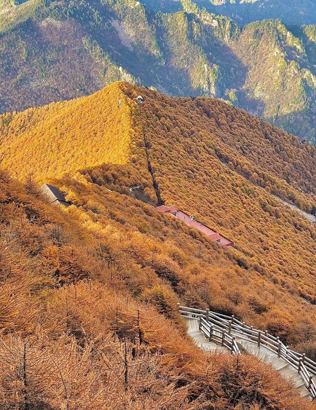 秦岭之巅｜太白山秋日徒步·看这篇就够了✨「西当太白有鸟道，可以横绝峨眉巅」写