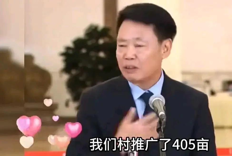 “我们欠他一个道歉？”朱有勇院士推广水稻上山，被质疑“疑劳命伤财，有正常脑子的人