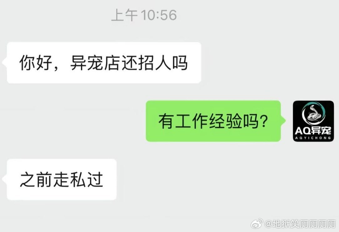 1822招到有用的员工了
