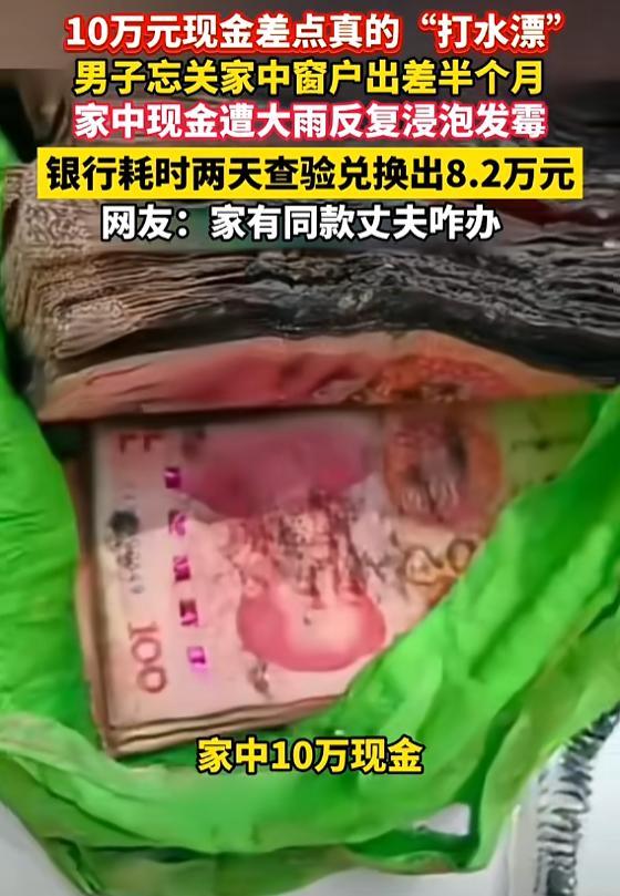 7月30日报道，辽宁大连，一男子出差前，忘关阳台窗户，过了半个多月回家时，