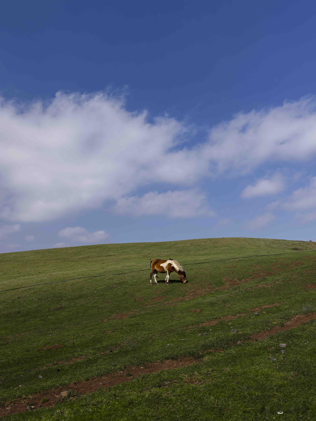 贵州面积最大的高山自驾场景🚘自驾|拍照|骑行|露营|徒步📸