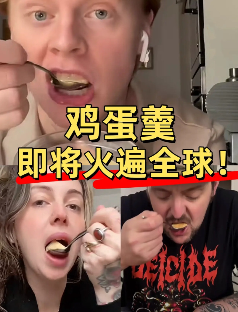 笑喷！已经看到十几个老外学做水蒸蛋了！老美、德国、加拿大、墨西哥、英国网友甚