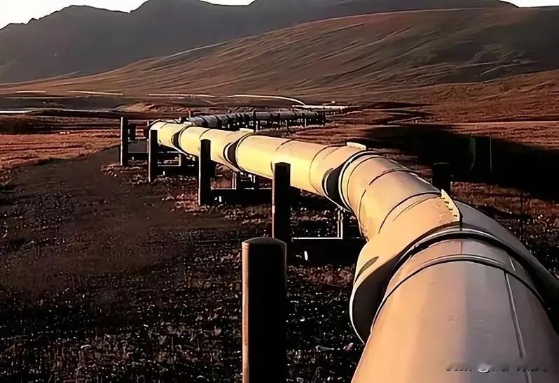 德国这下真要慌了有知情人士薄爆料，俄罗斯已明确通知哈萨克斯坦和德国，从今年