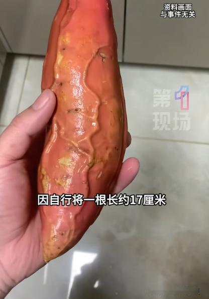 荒唐至极！成都61岁男子体内塞入17厘米红薯，多次施救无果，最终被迫开腹手术。