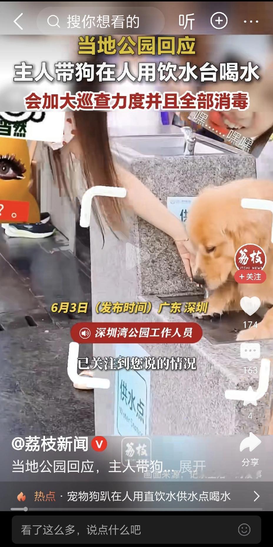 狗进餐馆舔盘子屡见不鲜，现在又有狗趴上直饮台喝水。这个直饮台是人用的，不是给狗用