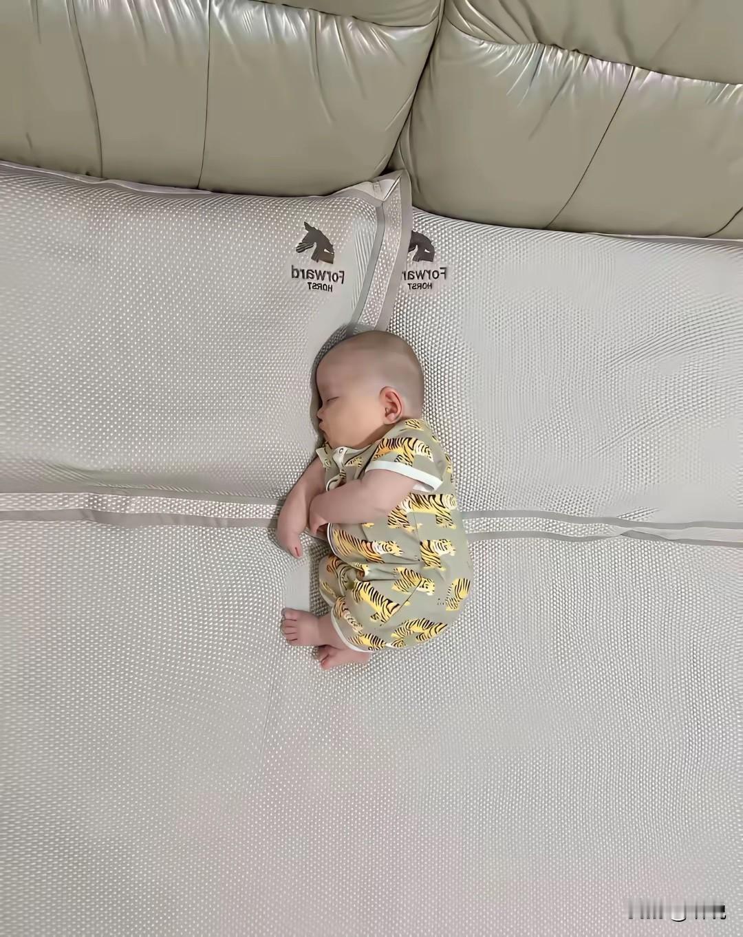 这么小一个，要多久才能养大…