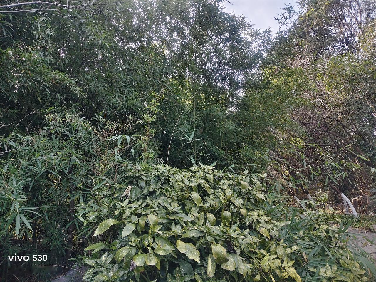 崇祯不与李自成讲和，原因还挺复杂。一方面是面子问题，崇祯觉得自己是皇帝，一旦和李