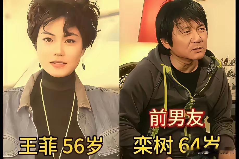 王菲的情感史！王菲真的是特立独行的女性代表呀，这么多年，她虽然也换过了好几届男朋