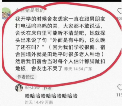 外面是有牛吗，这么晚了还在叫