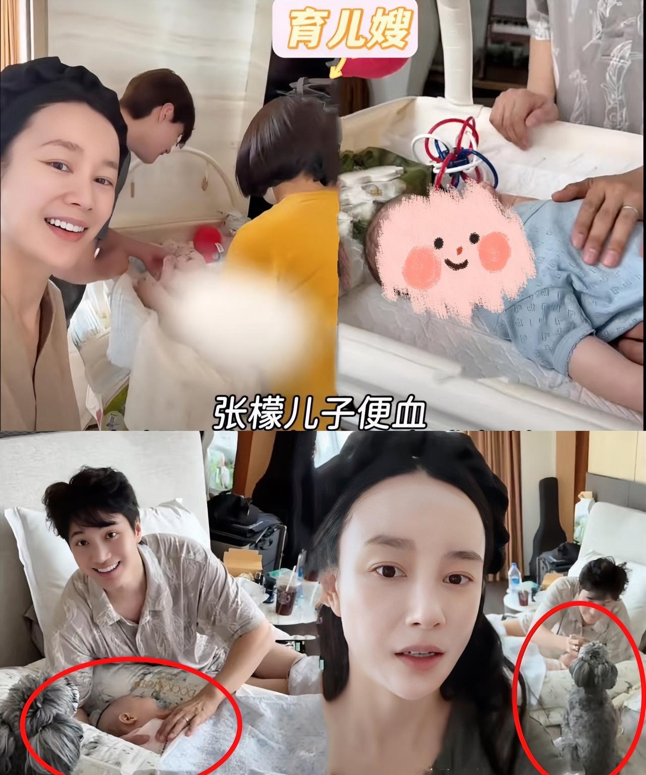 张檬有点不对劲，其他明星晒娃都会给孩子挡脸，她倒好，从备孕到怀孕，再到坐月子