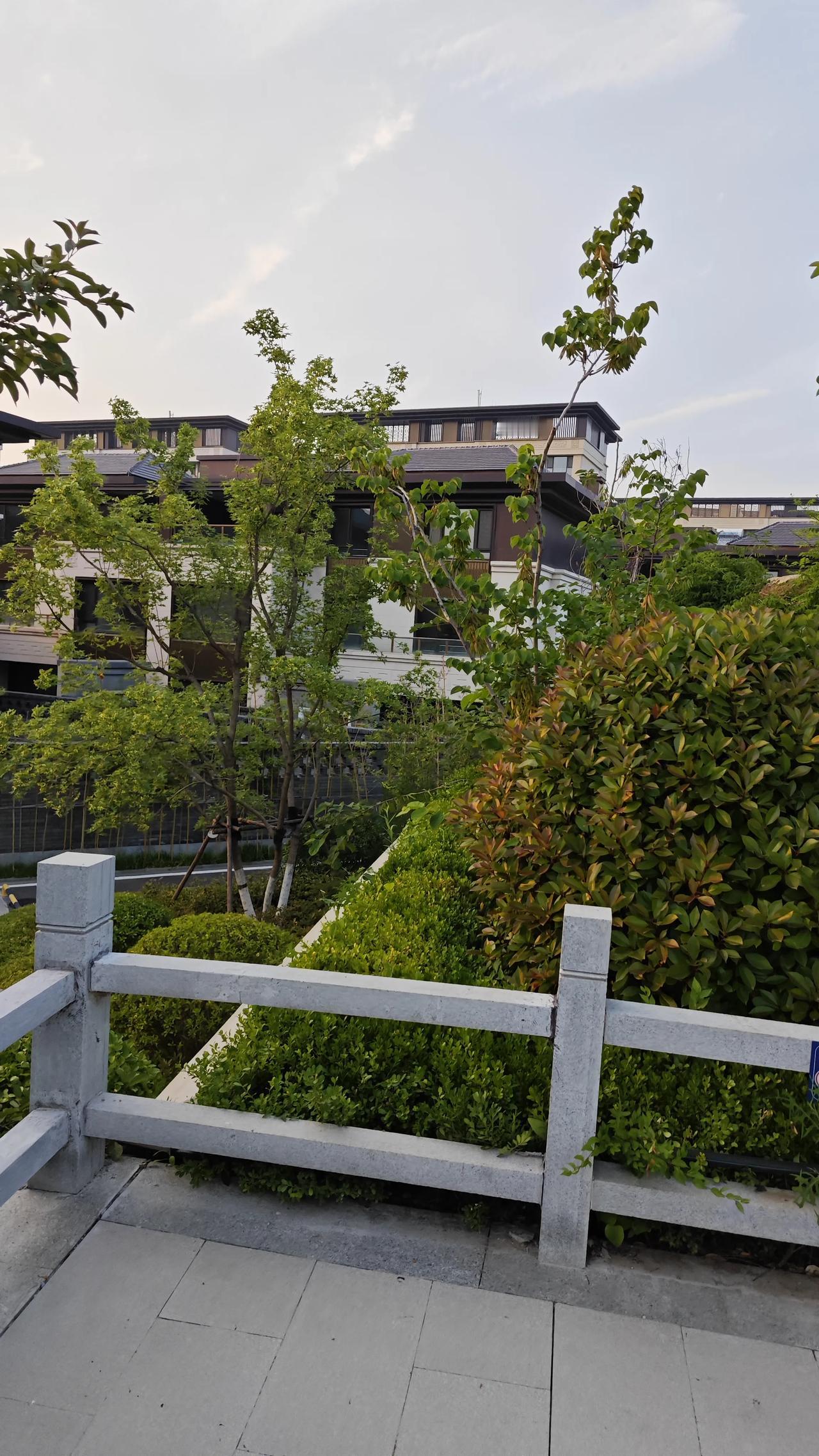 一位带过20年高三的班主任坦言：普通班和重点班的差距，根本不在语文，而在这两科…