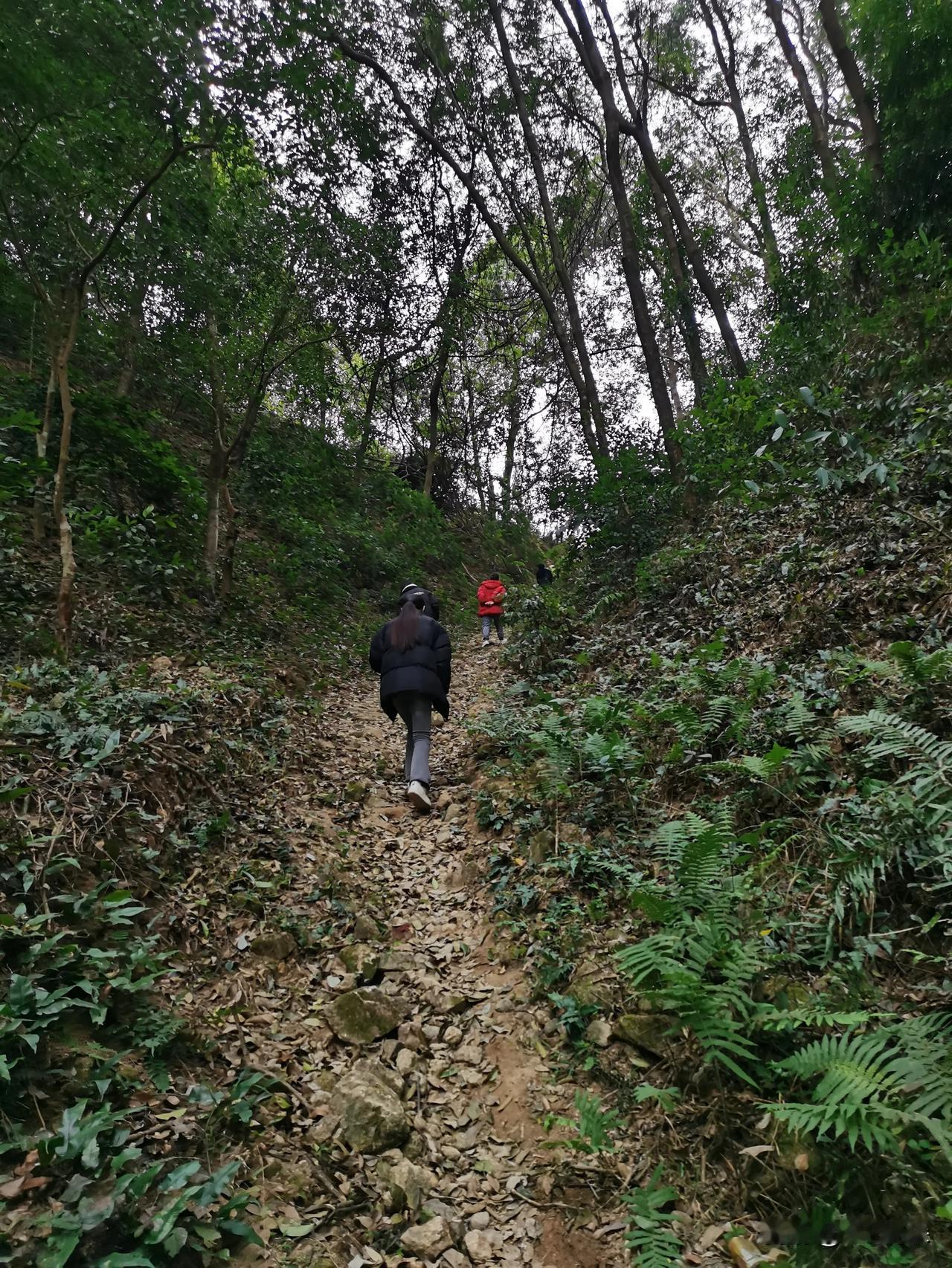 走路去亲戚家，翻山越岭[呲牙笑]这样的道路开不了车