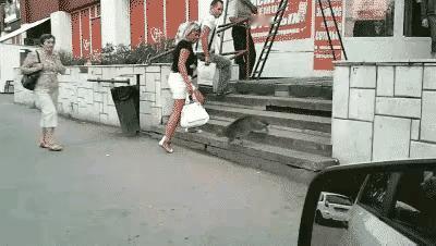 铲屎官漂洋过海把中华狸花猫带到欧洲，本以为是温柔小猫咪，没想到直接把整条街的狗狗