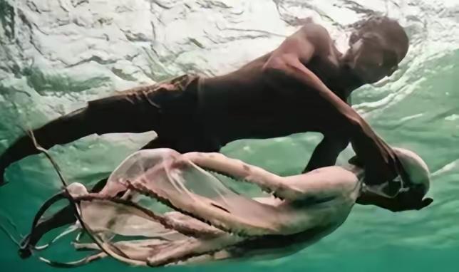 世界上唯一没有国籍的民族：一生只能待在水里，身体开始“进化”没有国籍，没有