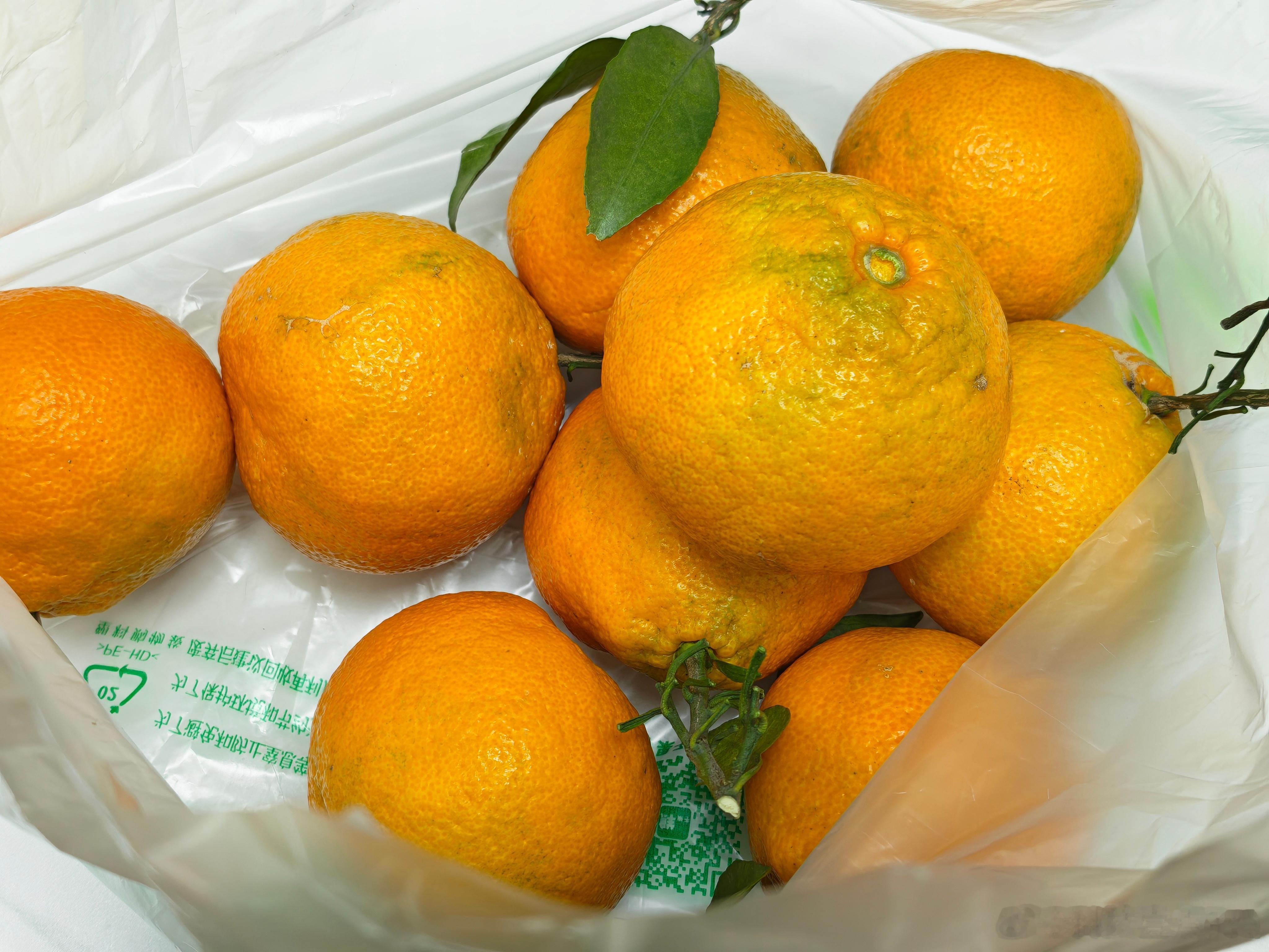 今年的丑橘这么便宜吗，附近的水果店10元6斤，这么一大袋子才7块3