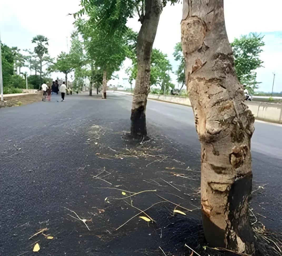 印度基建奇迹之“生命之树”！位于印度杰哈纳巴德县搞了个大项目，要拓宽巴特那-加