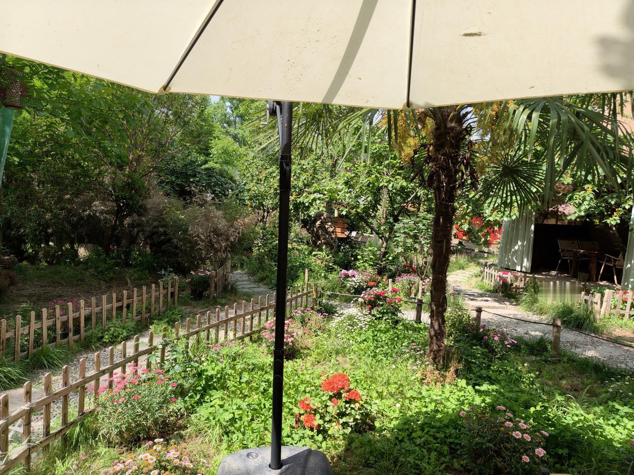 昨天邻居大姐带我去秦岭脚下她侄儿开的农家乐，我们一起去的四个人，带司机师傅五个人