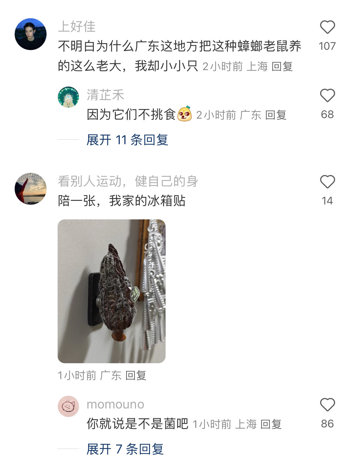 广州除了人什么都能活得很好