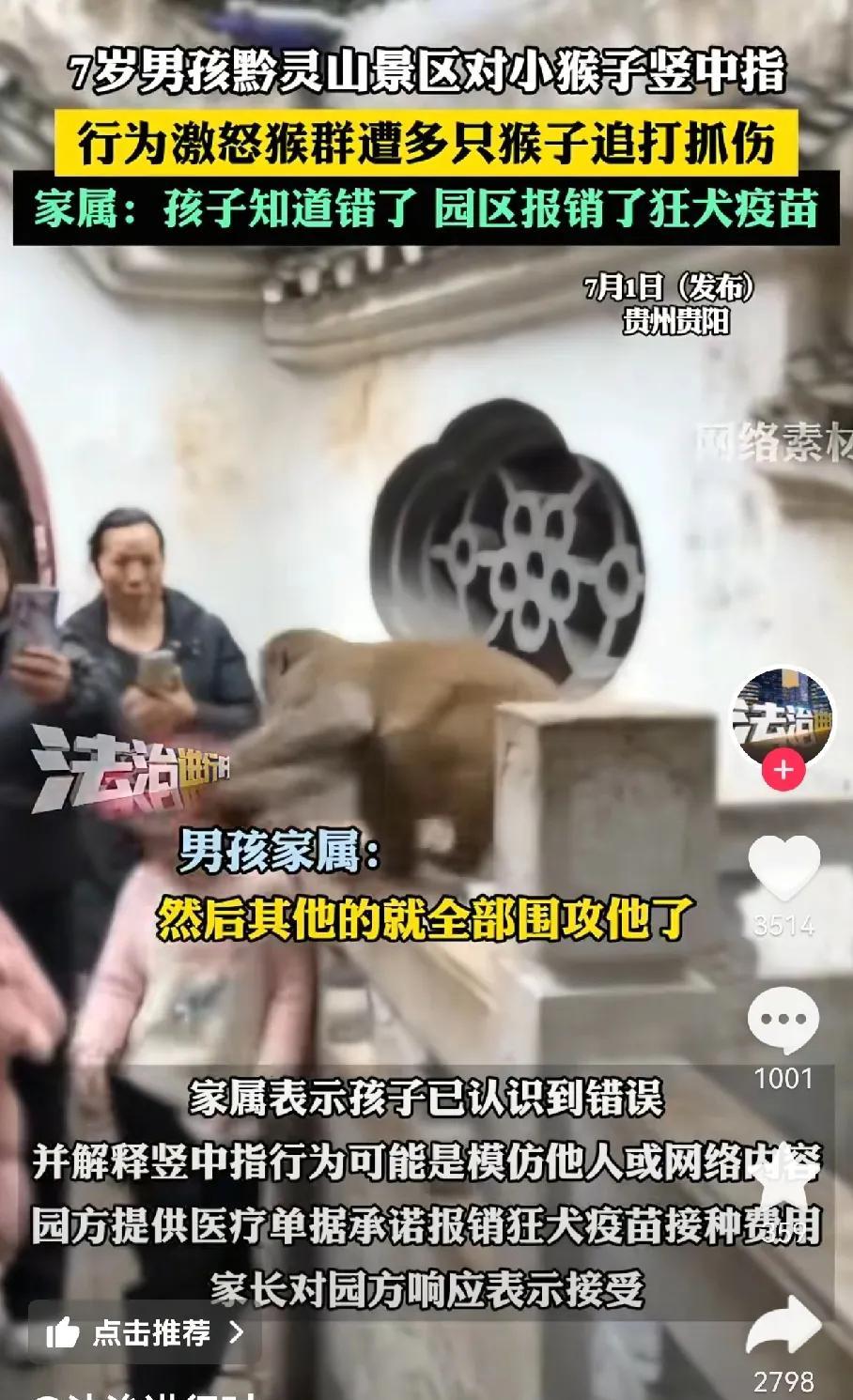 熊孩子这下长记性了对猴子竖中指结果猴子看懂了，发怒了。跳下来踹孩子，其它猴子