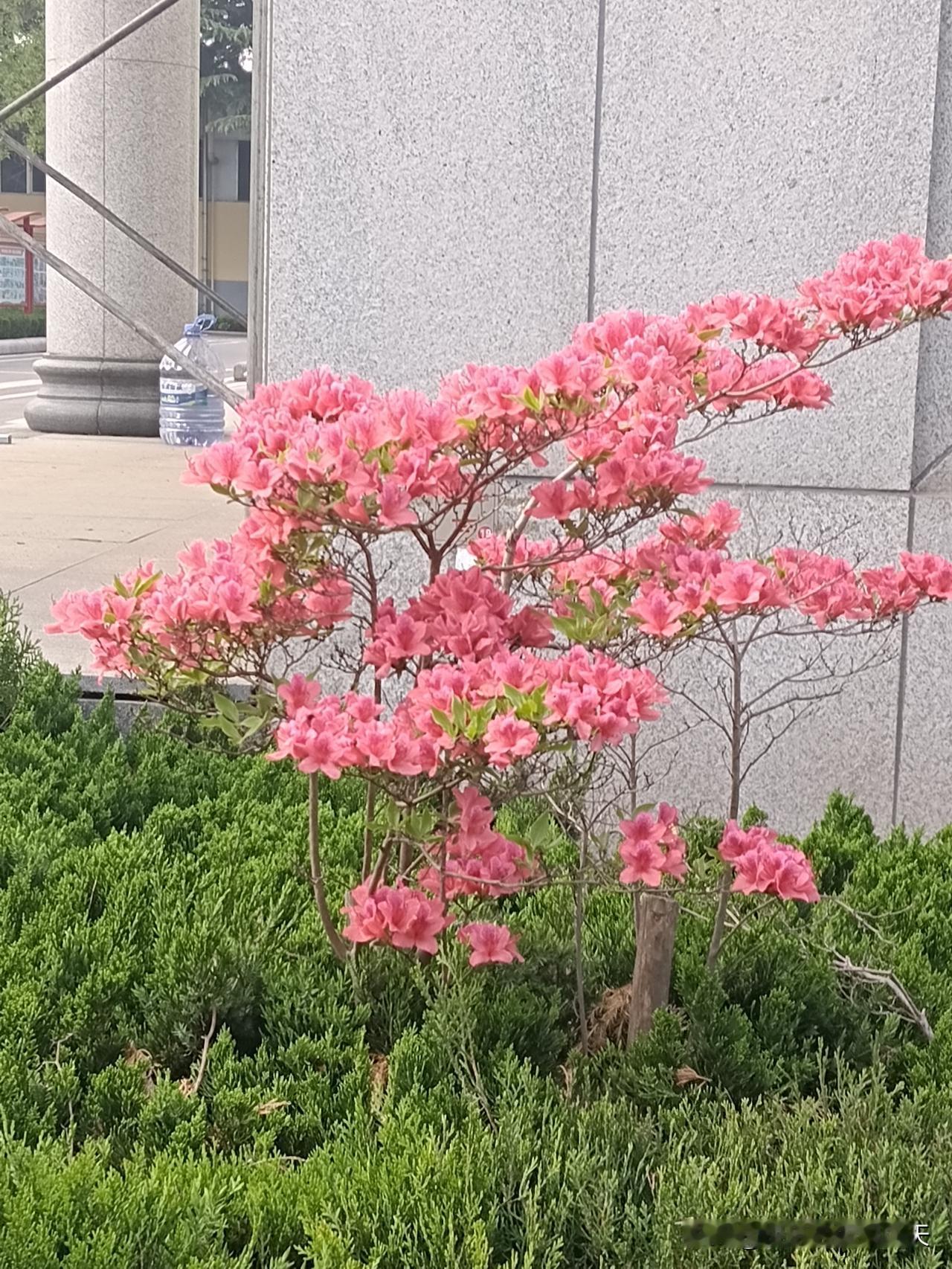 想要运气好，一定要记住：1.不管住哪，要说房子好2.和谁在一起，就说谁好3
