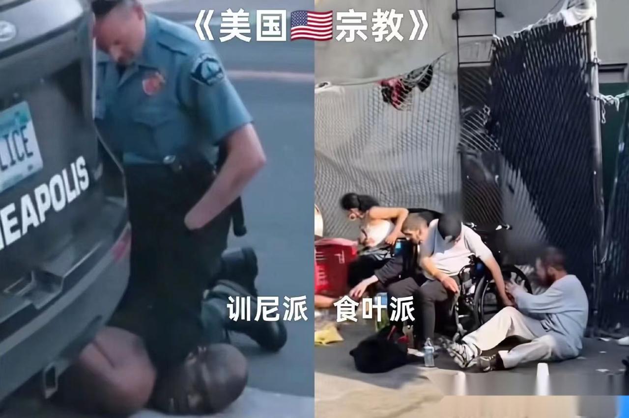 美国这个......还真是很形象。