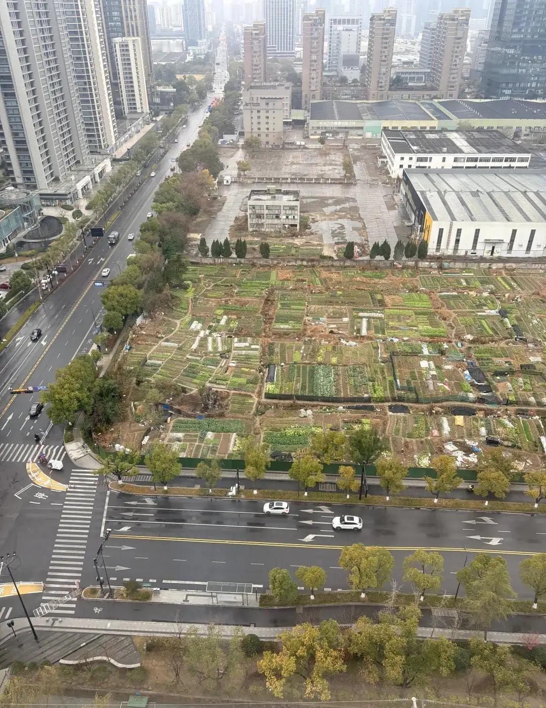 萧山区的建设三路这个空地是开放给当地的居民朋友们种菜的了吗？其实就是这样很好，