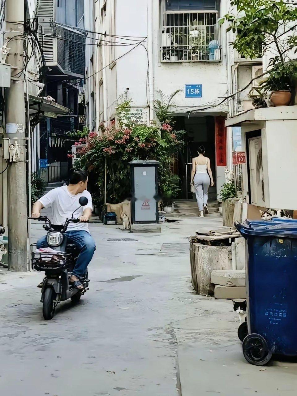 大爷始终认为，只有回眸才能看到最好的风景​​​