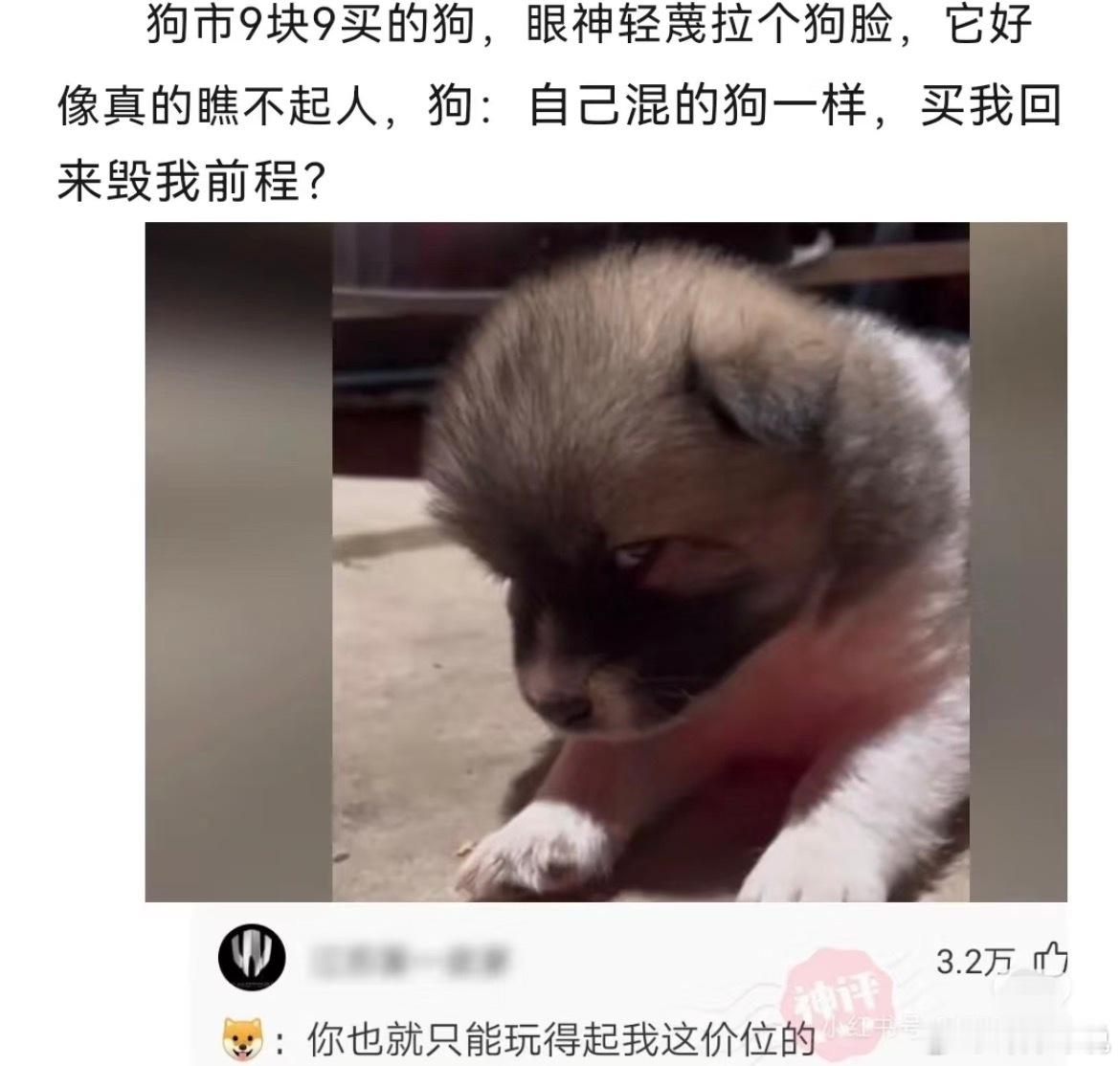 “买我回来，毁我前程”