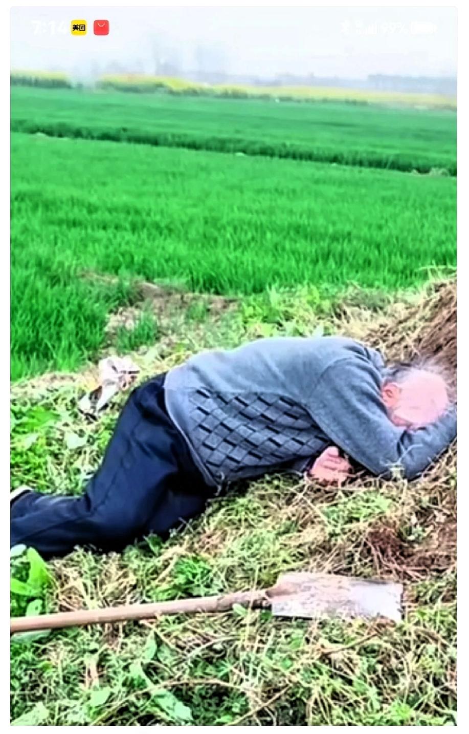 泪目！年迈的父亲执意要去给父母上坟，祭拜完后，直接整个人趴在黄土堆上嚎啕大哭