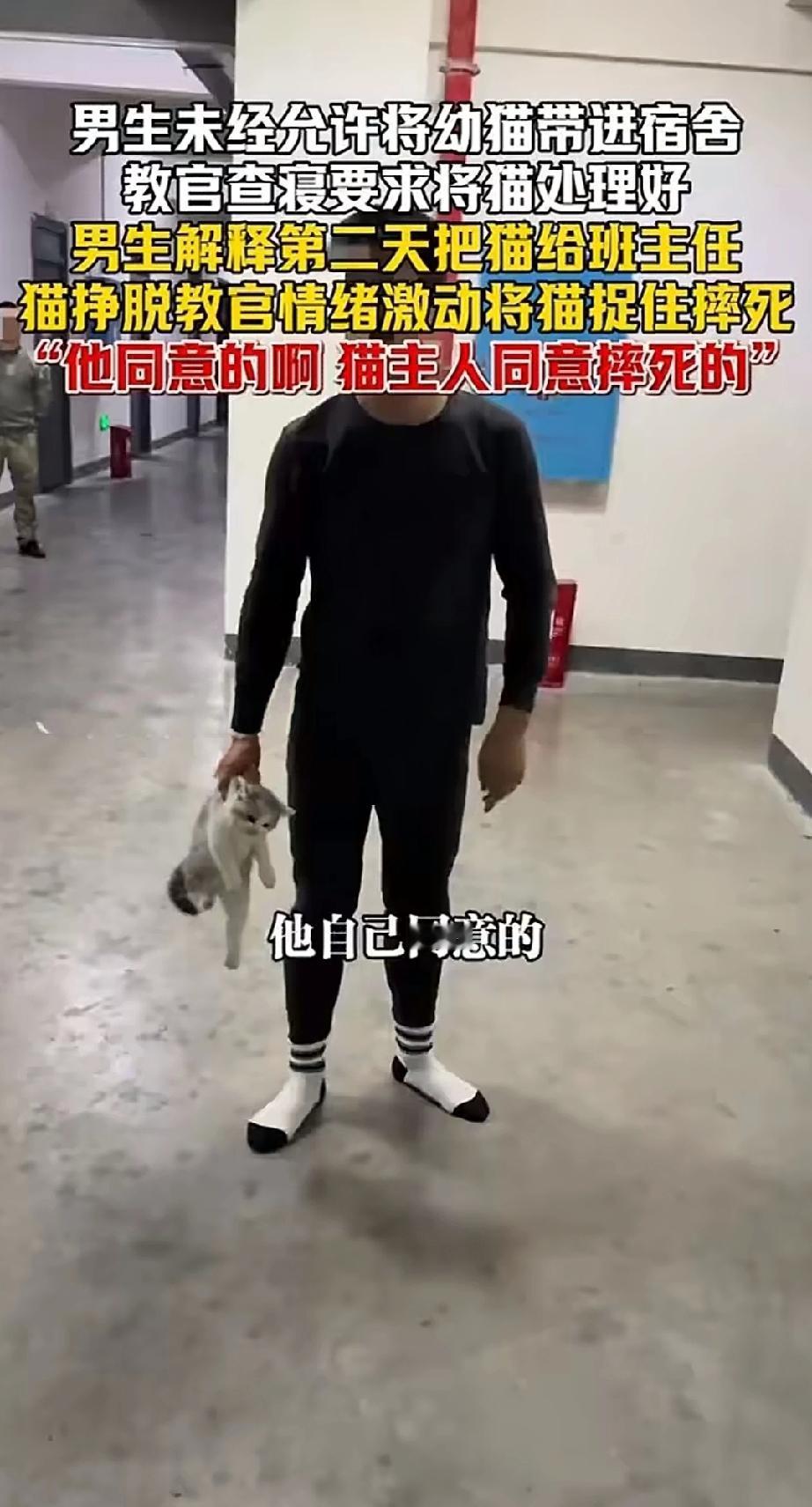 这么可爱的小猫咪，就被查寝教官给摔死了[哭哭]！首先哈，我建议他去看下心理