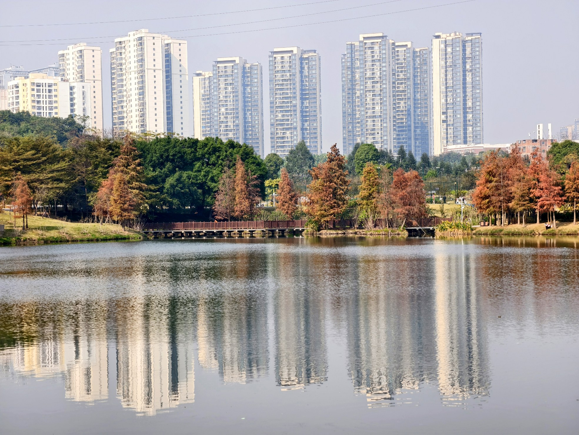 翻出最厚衣服! “四九”开场迎寒潮