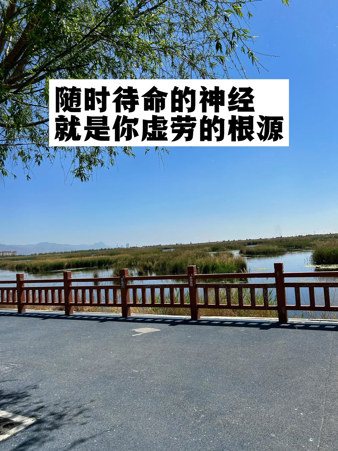 随时待命的神经，就是你虚劳的根源.