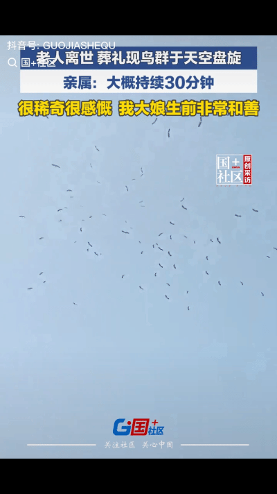 “解释不清了！”安徽淮南，一78岁老人离世，娘家人赶来奔丧时，天空中竟飞来一群鸟