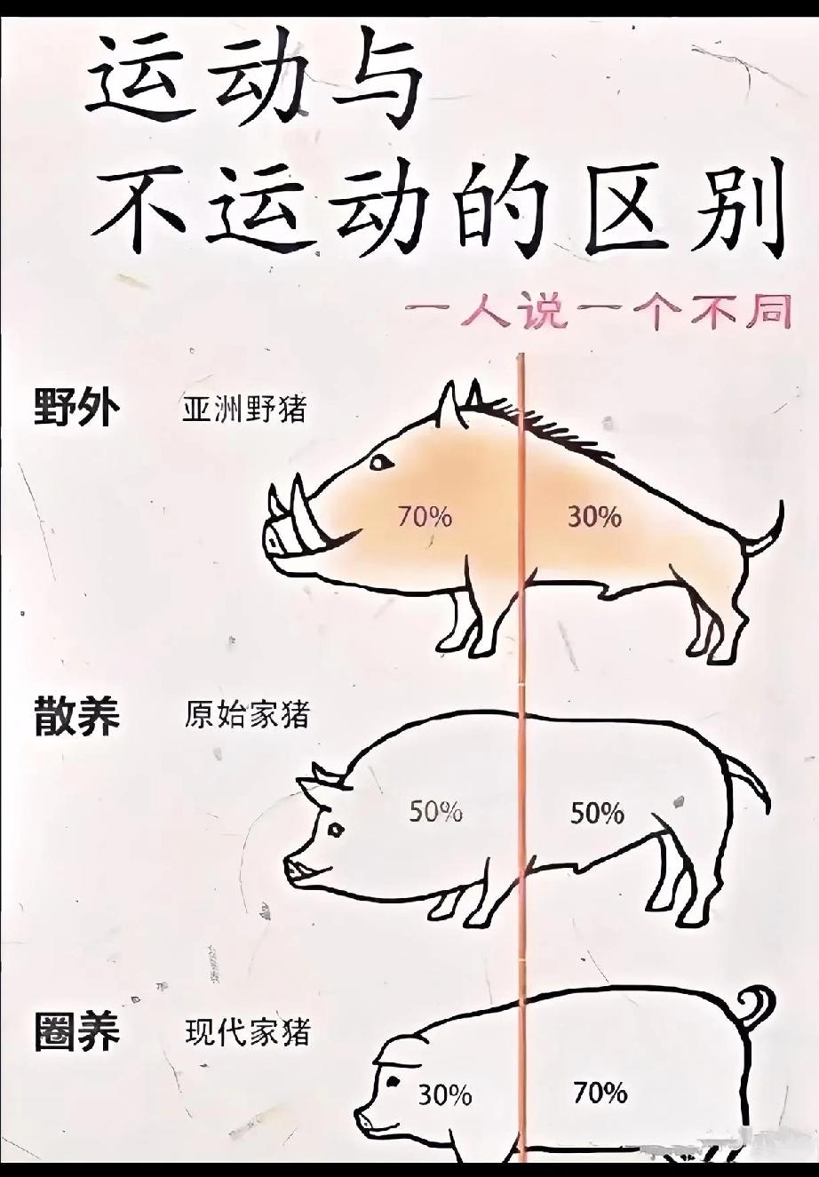 你不要笑猪，猪的体脂率15%[笑着哭][笑着哭][笑着哭]