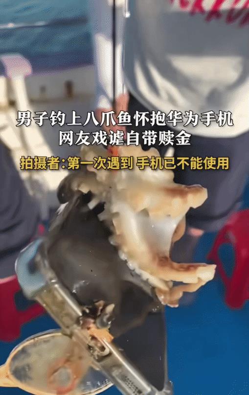 “笑不活了！”福建福州，男子海钓，没想到，钓上来一只抱着手机的八爪鱼。手机泡水时