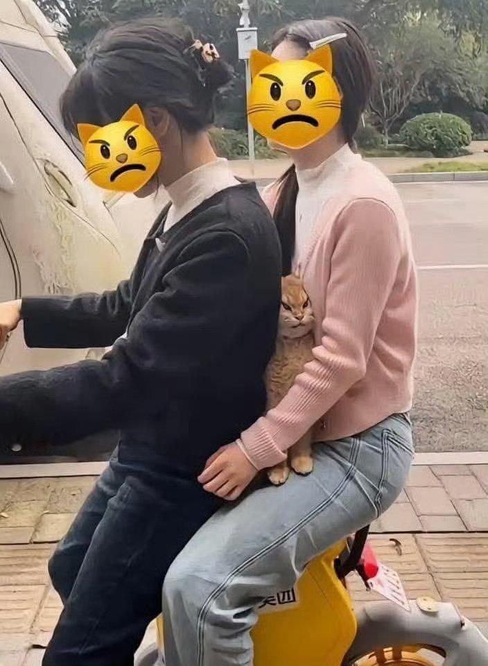 🐱：我很安全，请放心！​​​