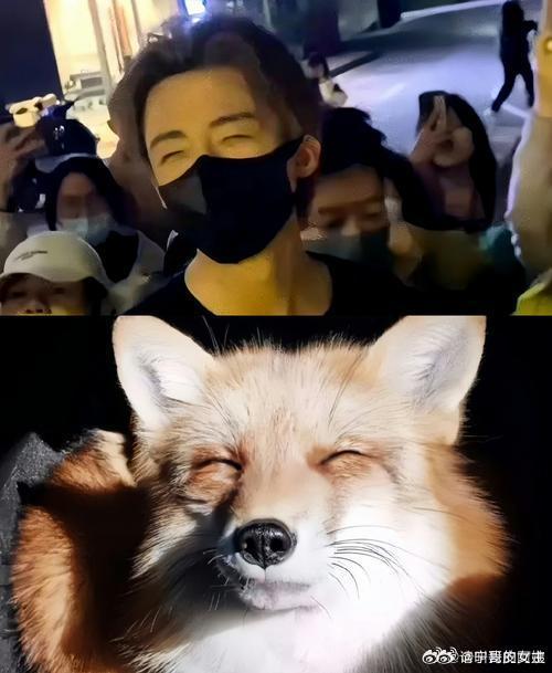 摩登兄弟我对丹凤眼男生毫无抵抗力喜欢得必须每天看到否则就茶饭不香了