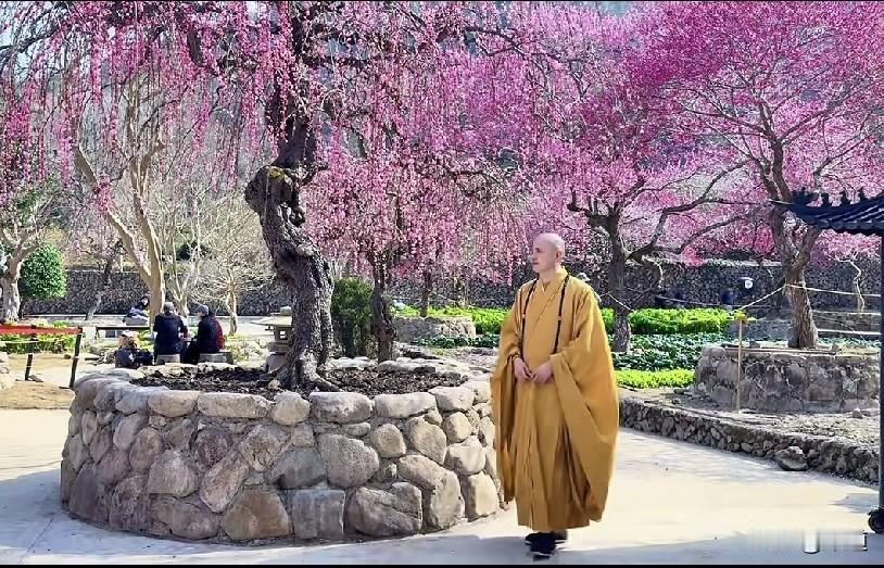 女子带个儿子44岁时嫁了个40岁一无所有的头婚男。没车没房没彩礼就结婚了，这个