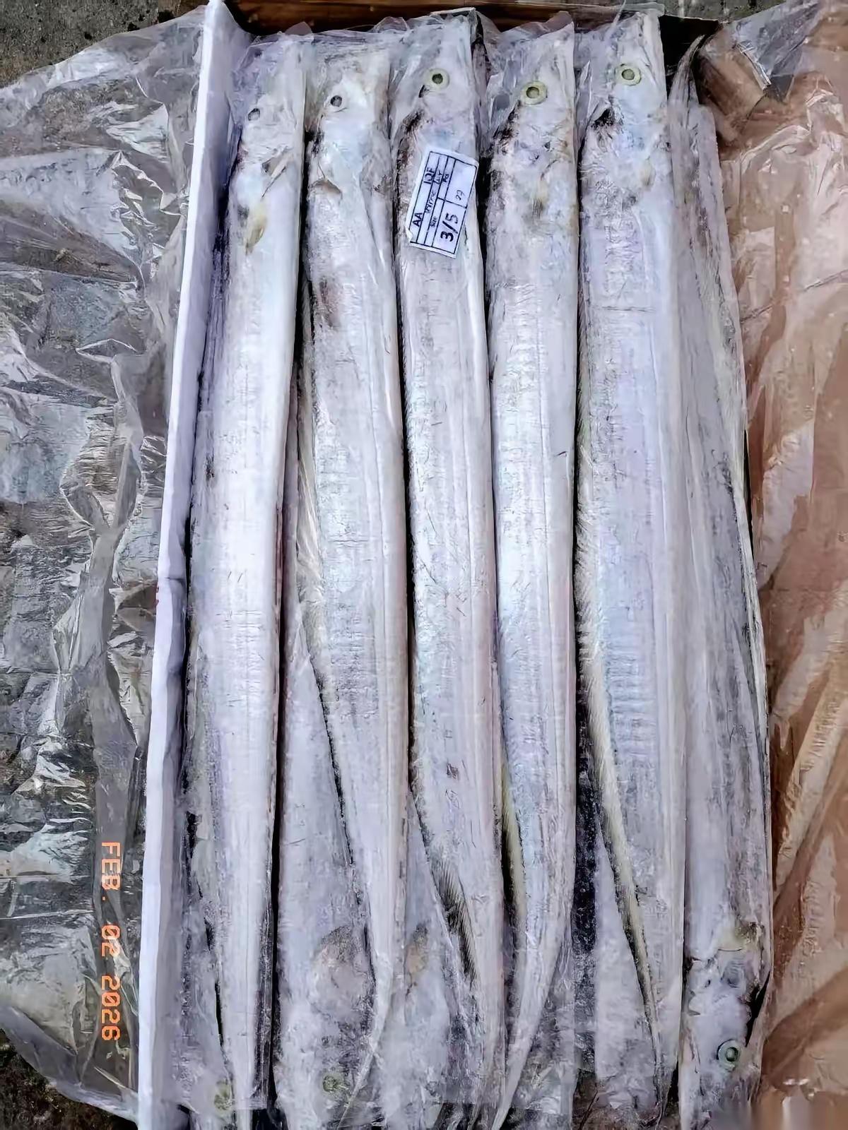 买带鱼别只认“舟山”俩字，摊主揭秘真实产地。市场里泡沫箱上红纸黑字的“舟山特