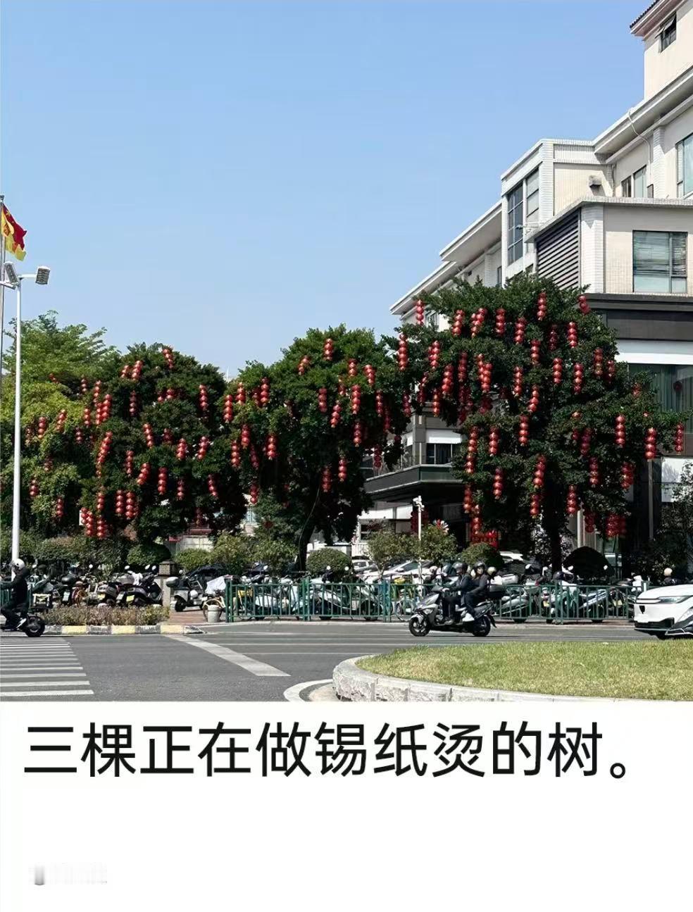 天马行空四个字具象化了