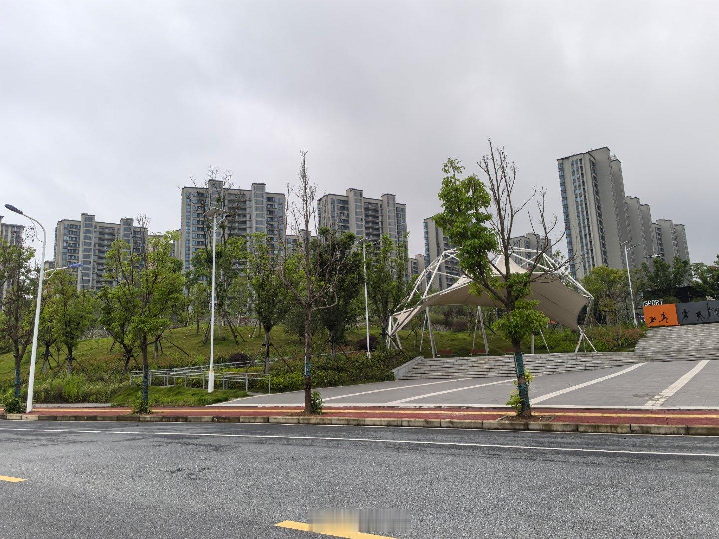 上饶信美江南第一州雨后的城市体育公园，空气里带着湿润的青草香。新栽的树苗还带着