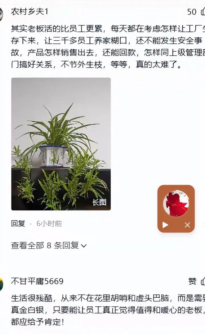 吵翻了！广东这家电子厂年会被网友嫌寒酸，只让员工自助打菜吃顿自助餐，我倒觉得这才