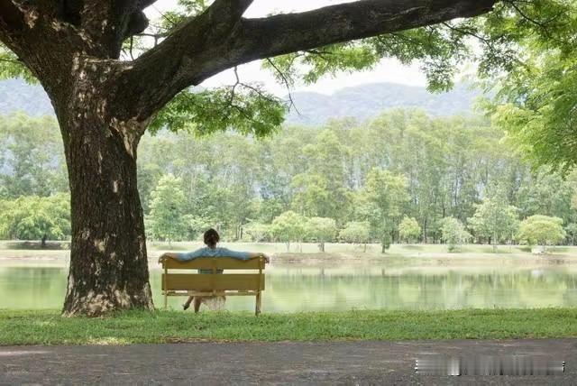 炒股赚钱，贵在坚持，大道至简。许多人常常高估自己，把炒股想得过于复杂。就拿股