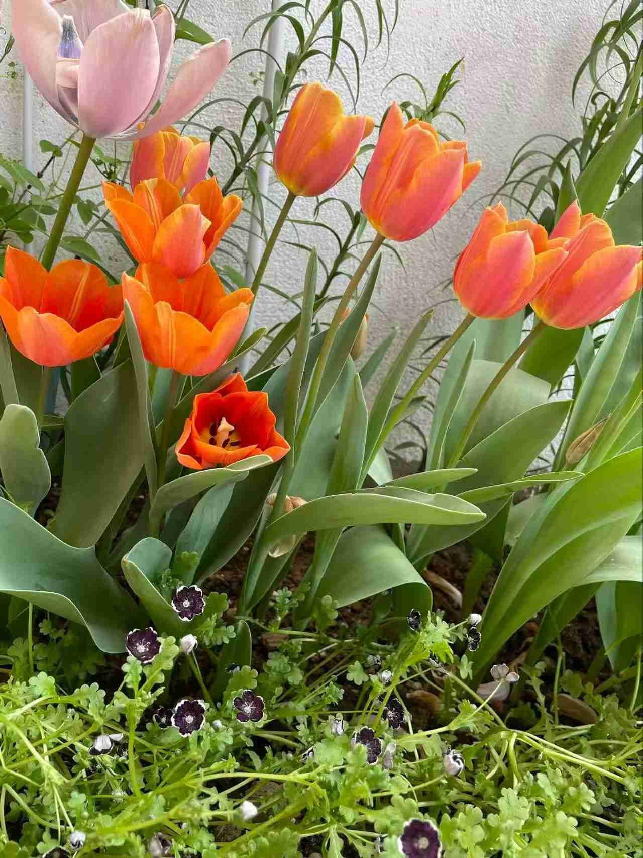 我的今日状态：🏝️旅行度假我这里的天气：☀️晴天