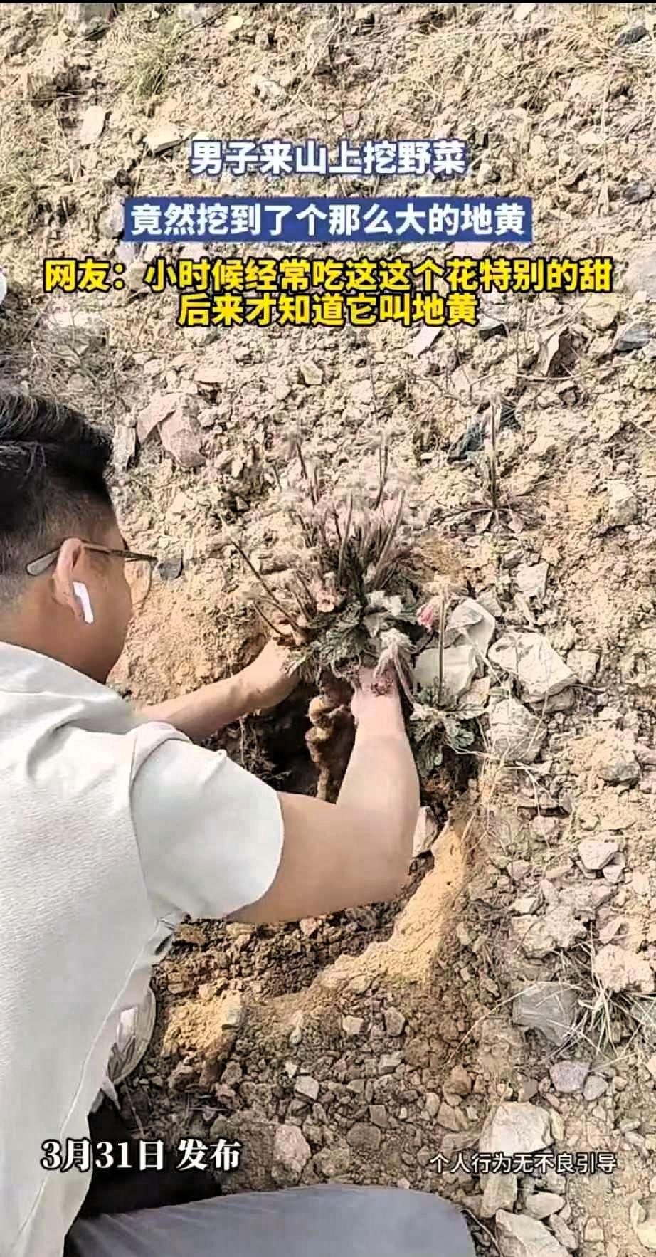 真是活久见！4月1号，重庆一男子上山挖野菜，本想挖点蒲公英，荠菜，回家尝鲜，意外
